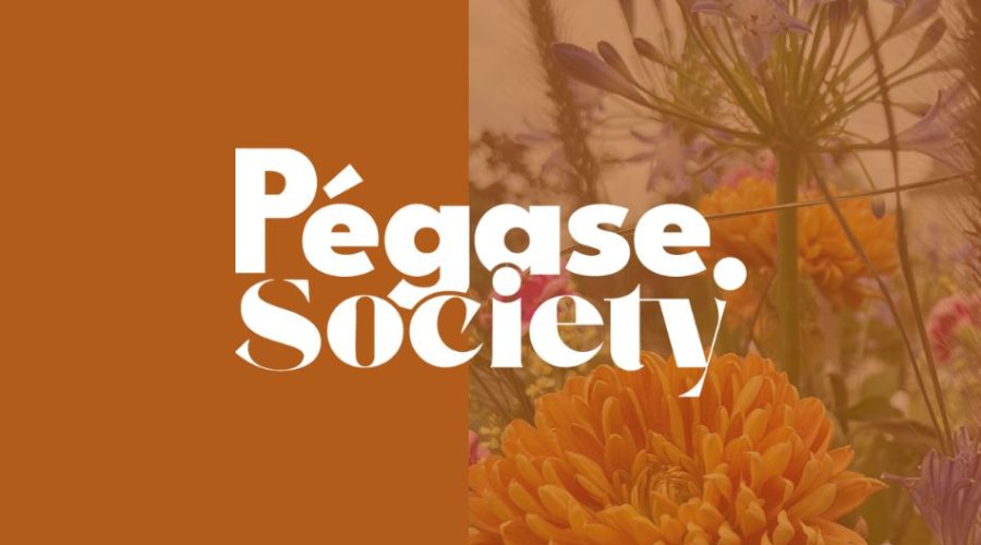 Lancement de Pégase Society : une nouvelle passerelle entre entreprises, cheval et territoires vivants