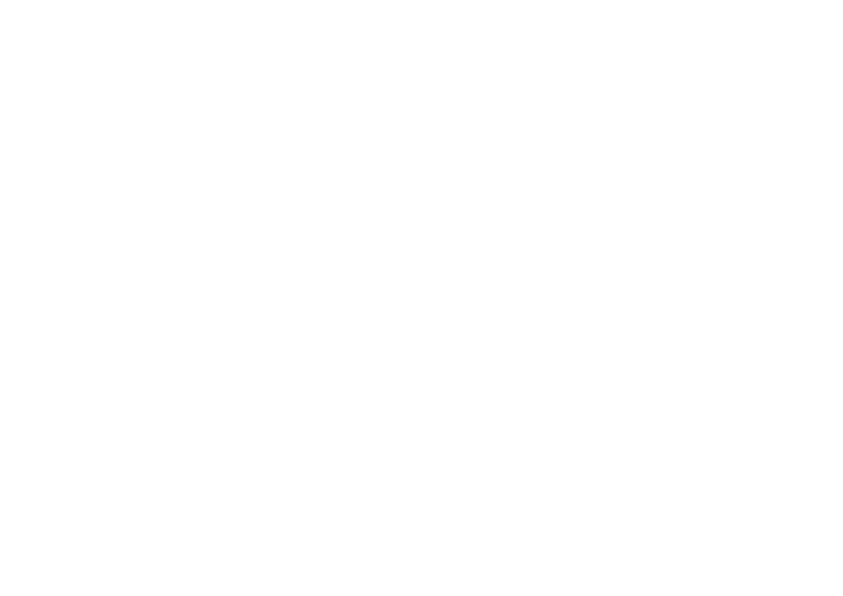 Pégase Society